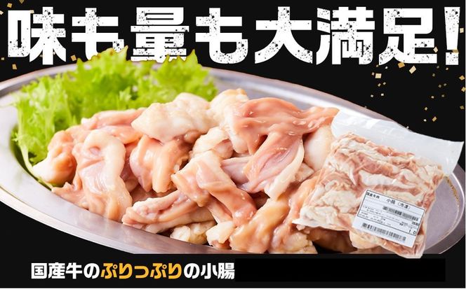 《完全業務用》国産牛　小腸　10kg 372013_HM183