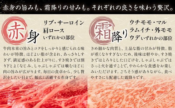 岡山県産牛 スライス 選べる 赤身 霜降り 食べ比べ 500g 1kg お試し 大容量《60日以内に出荷予定(土日祝除く)》 岡山県 笠岡市 肉 送料無料---kasaoka_zsy_293_5---