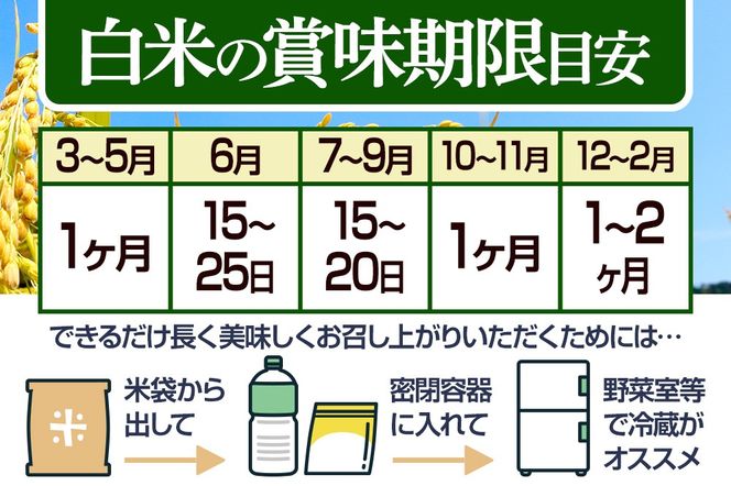 【玄米】＜令和7年産＞ 《定期便8ヶ月》秋田県産 あきたこまち 匠 10kg (5kg×2袋)×8回 10キロ お米 |02_snk-020608s