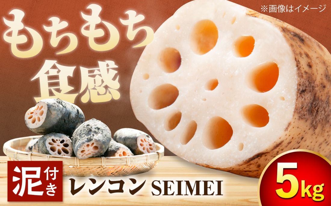 ＼毎年8月中旬より順次発送/ レンコンSEIMEI 5kg レンコン 蓮根 根菜 野菜/株式会社水谷グルッポ [AEBX002]