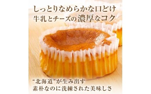 《話題のスイーツ》赤いサイロ 18個【清月】 ( チーズケーキ お菓子 スイーツ 北海道 お土産 お茶菓子 サイロ デザート 人気 小分け 個包装 ふるさと納税 )【008-0001】