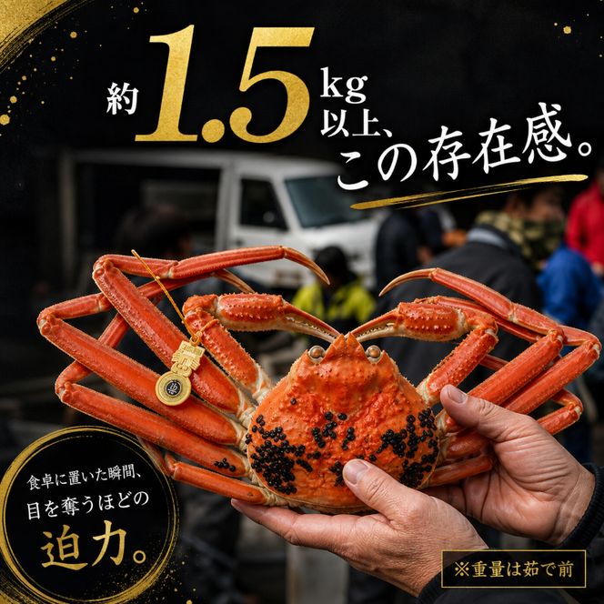 茹で越前ガニ 極！【期間限定】食通もうなる本場の味をぜひ、ご堪能ください。約1.5kg以上（極）越前がに 越前かに 越前カニ カニ ボイルガニ ずわい蟹 ずわいガニ ズワイガニ 蟹 