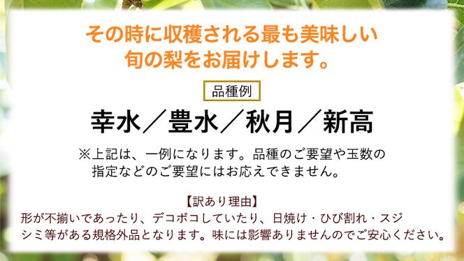 【 先行予約 】 【 訳あり 】 品種おまかせ 採れたて 完熟天使の 甘梨 約 3kg（ 茨城県共通返礼品： かすみがうら市 ） 【 2026年8月中旬頃発送 】  フルーツ 果物 なし ナシ 旬 新鮮 旬 期間限定 甘い 国産