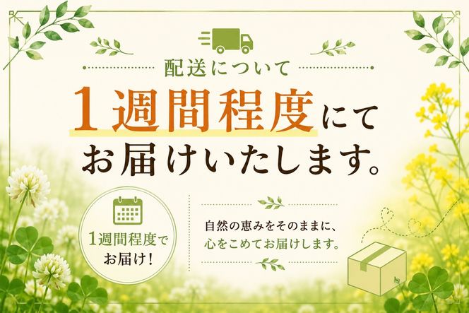＜北海道標茶産＞しろつめ草の蜂蜜　300g×2本　計600g【 はちみつ しろつめ草 蜂蜜 天然 甘味料 国産 標茶町 北海道 】 016641_AE001