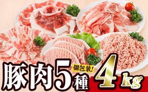 ＜1回配送＞ 豚肉 バラエティーパック (合計4kg) 豚バラ しゃぶしゃぶ 鍋 とんかつ ロース 小分け 個包装 豚こま 小間切れ スライス ミンチ 5種 セット 詰め合わせ 冷凍 食べ比べ 国産 大分県 佐伯市【BD325】【西日本畜産】