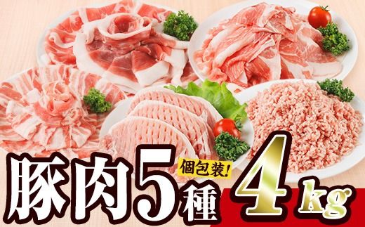 ＜1回配送＞ 豚肉 バラエティーパック (合計4kg) 豚バラ しゃぶしゃぶ 鍋 とんかつ ロース 小分け 個包装 豚こま 小間切れ スライス ミンチ 5種 セット 詰め合わせ 冷凍 食べ比べ 国産 大分県 佐伯市【BD325】【西日本畜産】