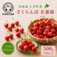 2027年発送 北海道 仁木町産 さくらんぼ 「佐藤錦」 バラ詰め M-L混合 500g (250g×2パック) 国産 旬のフルーツ 旬の果物 デザートサクランボ チェリー フルーツ 果物 果物類 仁木 [フルーツショップ妹尾観光農園] 