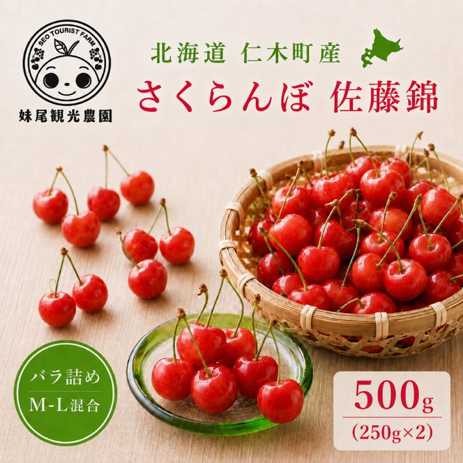 2027年発送 北海道 仁木町産 さくらんぼ 「佐藤錦」 バラ詰め M-L混合 500g (250g×2パック) 国産 旬のフルーツ 旬の果物 デザートサクランボ チェリー フルーツ 果物 果物類 仁木 [フルーツショップ妹尾観光農園] 