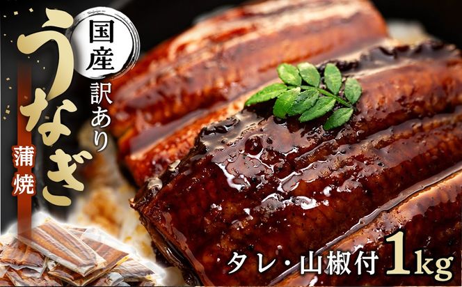 年内発送 訳あり 国産 うなぎ 1食 パック 合計1kg 山椒 付き タレ 30個 付 数量限定【申込は2025年12月24日まで】  	Y010-002