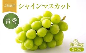 ぶどう 2027年 先行受付  シャインマスカット（青秀） 約2kg フルーツ 果物 岡山 赤磐市