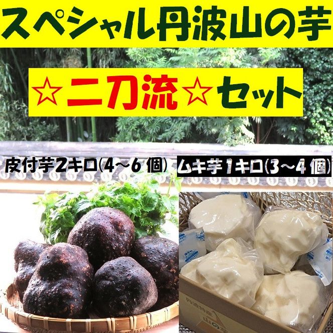 【芋家なか吉】スペシャル丹波山の芋☆二刀流☆セット (11月収穫プレミアム特選品つくね芋)｜京都 人気 やまいも［ 京都 山の芋専門店 職人 とろろ 芋 いも イモ 野菜 3kg 人気 おすすめ お取り寄せ 通販 送料無料 ふるさと納税 ］ 261009_B-SG09