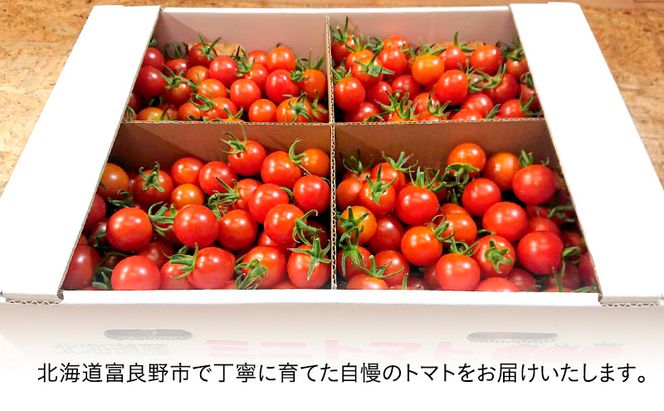 【2026年7月より発送】北海道 富良野市産 完熟ミニトマト（甘っこ）約3kg カラートマト付 トマト 甘い 野菜 新鮮 数量限定 先着順【藏ファーム】