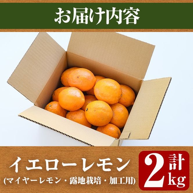 ＜先行予約受付中！2026年1月中旬以降順次発送予定＞数量限定！加工用・露地マイヤーイエローレモン(2kg) 国産 果実 果物 レモン イエローレモン フルーツ 檸檬 柑橘 デザート 期間限定【桐野柑橘株式会社】akn070-02