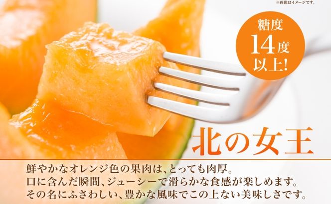 【2026年夏発送】北海道 赤肉メロン 北の女王 秀品 約1.6kg×2玉 計約3.2kg 令和8年 メロン 果物 フルーツ 旬 季節 希少 貴重 甘い 豊潤 国産 デザート ご褒美 産地直送 ギフト お祝い 贈答品 贈り物 常温 お取寄 送料無料 