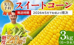 とうもろこし スイートコーン 3kg（6~9本）野菜 コーン スーパースイートコーン 採れたて 糖度20度 【2026年5月下旬頃より順次発送予定】