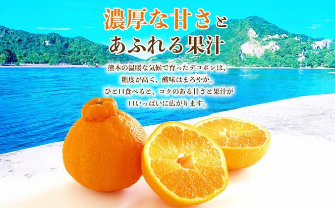 【先行予約】 デコポン 約3kg (6～13玉) でこぽん 不知火 みかん 蜜柑 柑橘 果物 フルーツ 旬 熊本県 八代市【2026年12月上旬より順次発送】