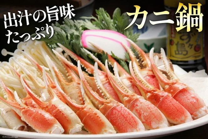 【CF03】リピーター続出！ 本ずわいがに爪 約700g [カネダイ 宮城県 気仙沼市 20564321] 蟹 かに カニ ずわいがに ズワイガニ ずわい蟹 ズワイ蟹 ずわい ズワイ 蟹 カニ爪 蟹爪 カニ爪肉 つめ 爪 ボイル