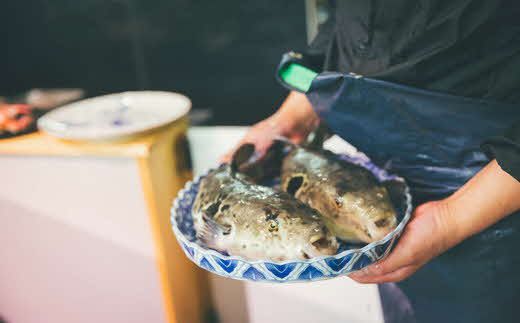 【1.6-10】お鍋や唐揚げなど用途たくさん！「とらふぐあら」と「ひれ」セット（3匹分）