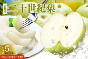 2026年産 先行予約【梨 20世紀梨 香住梨 5kg 小さめ（1玉250g～300gを16～20玉）】8月下旬～9月中旬にかけて発送予定 二十世紀梨  小玉 シャキシャキ 甘味 瑞々しさ 香住梨 フルーツ フルーツ先行予約 果物 贈答品 ギフト なし ナシ 和梨 青梨 大人気 おすすめ ランキング 兵庫県 香美町 香住 JAたじま 16000円 12-09