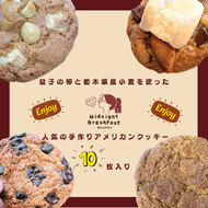 おまかせEnjoyセット　クッキー｜栃木県 益子町 ふるさと納税 クッキー セット 手作り 焼き菓子（CF002-1）
