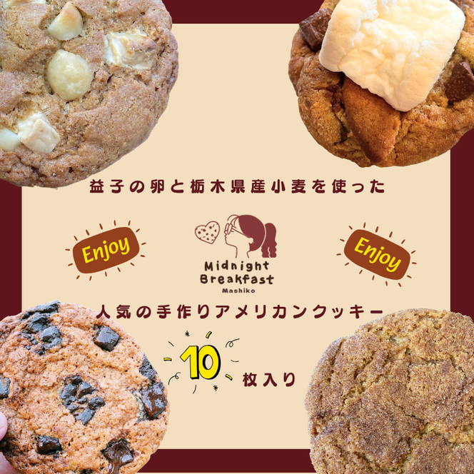 おまかせEnjoyセット　クッキー｜栃木県 益子町 ふるさと納税 クッキー セット 手作り 焼き菓子（CF002-1）
