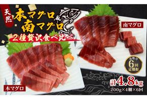 【６回定期便】本マグロ 南マグロ 中トロ 各２柵 奇数月 まぐろ 鮪 鮮魚 刺身 寿司 高級 食べ比べ