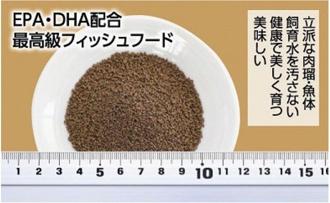 【CF-R7hbk】KGC001　らんちう貴族C 120g 当歳魚用