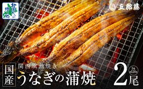 099H3442 【老舗五郎藤】国産 旨鰻 120g 前後×2尾【うなぎ 関西風地焼き  ウナギ 蒲焼き 炭火 訳あり 数量限定 有頭 北国からの贈り物 厳選】