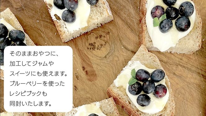 《 先行予約 》完熟 新鮮ブルーベリー 約1kg 【2025年6月上旬頃より発送開始】＜ 産地直送 ＞ ベリー 1kg 1キロ 甘い 甘酸っぱい 冷凍 大粒 おいしい 美味しい フルーツ 果物 くだもの おやつ 無農薬 農薬不使用 お取り寄せ お土産 贈り物 贈答 ギフト 国産 茨城 農園 [BK001us]