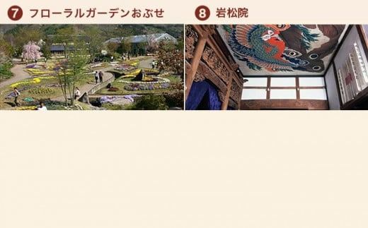 信州・小布施年間フリーパス 1名分 ［T-01］ 