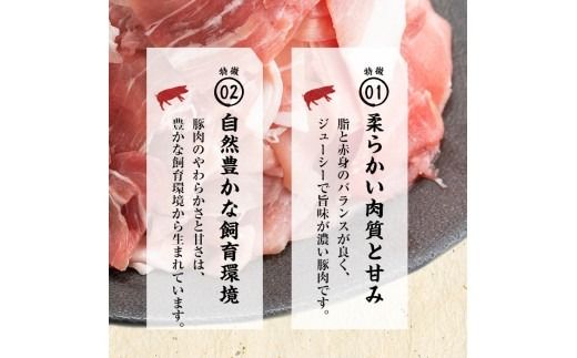 【工場直送 業務用】九州産豚切り落とし＜計9kg(300g×30P)＞ c0-137