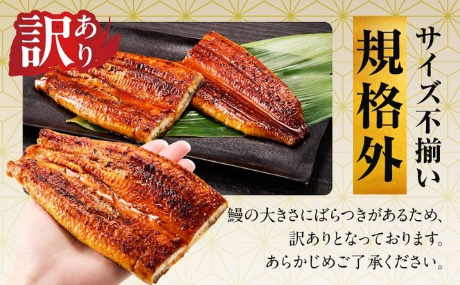 G3973d 【土用の丑の日までにお届け】うなぎ 暴れ盛り 250g（2カット）【規格外 お試し 鰻 かば焼き 簡単調理 訳あり サイズ不揃い 人気 惣菜 うな重 うな丼 ひつまぶし】