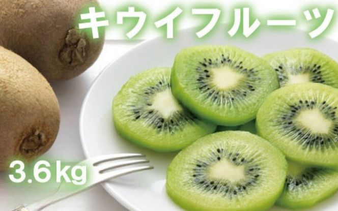 【人気】和歌山県産　厳選! 濃厚キウイフルーツ　秀品　24～36玉　(約3.6kg)【ard015C】