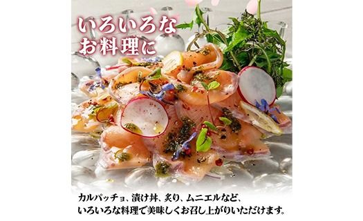 さいき 桜 サーモン フィーレ (1尾分・約500g) 期間限定 冷凍 サクラマス 刺身 ムニエル お味噌汁 お鍋 国産【GP013】【高瀬水産】