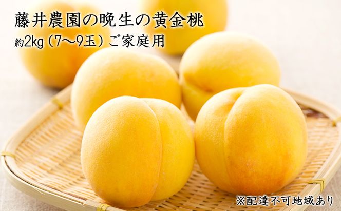 【2026年先行予約】 桃 岡山県産 ご家庭用 もも 2026年 先行予約 ご家庭用 晩生の黄金桃 約2kg（7～9玉） 藤井農園《2026年9月上旬～9月下旬頃出荷》  果物 岡山 里庄町 モモ