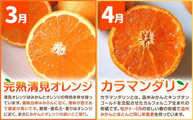 ご家庭用・訳あり わかやま旬のカンキツ定期便【S】【M】 全4回 合計11kg または 合計18.5kg 有田マルシェ《発送月固定・全4回出荷》和歌山県 日高町 フルーツ 果物 柑橘 ご家庭用 訳あり 有田みかん 清見オレンジ カラマンダリン 完熟 青切---wsh_armstei_24_28000_91134y4---