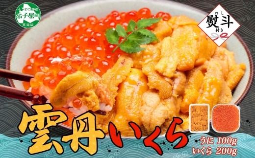 2941.  無地熨斗 うに 100g いくら醤油漬け 200g ウニ チリ産 冷凍 いくら 二色丼 雲丹 イクラ 海鮮 海鮮丼 うに丼 いくら丼 いくら醤油漬け のし 名入れ不可 送料無料 北海道 弟子屈町