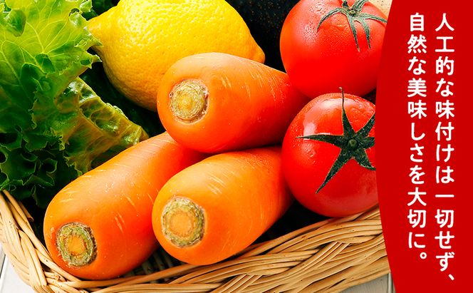 【 6ヵ月 定期便 】ふらの 野菜の里 160g×30本入　野菜 果物 ミックスジュース  (ジュース 野菜ジュース 飲み物 缶 北海道 送料無料 道産 富良野市 ふらの)