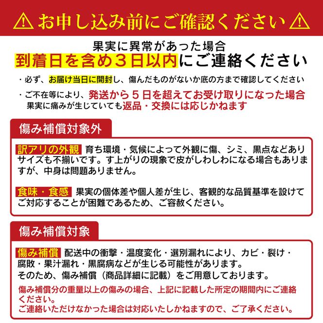 数量限定 先行予約 甘夏 5kg 7000円 みかん あまなつ 夏みかん グレープフルーツ だいだい 産地直送 国産 農家直送 糖度 果樹園 期間限定 特産品 ゼリー マーマレード ピール ジュース デザート 人気 甘い おいしい フルーツ 果物 柑橘 蜜柑 愛南町 愛媛県 吉田農園