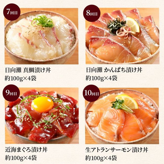 お魚の漬け丼バラエティ10回定期便 N019-YG0190