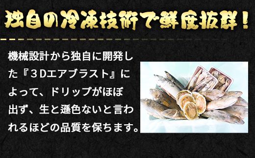 【定期便】北海道産 訳あり 冷凍鮮魚セット Ｌサイズ 4kg〜4.5kg  年4回お届けコース 総重量16.0kg～18.0kg 【漁師応援プロジェクト】鮮魚ボックス 詰め合わせ