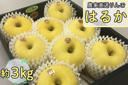 y茧Ԋsz ͂邩3kg ĉԊ y811z