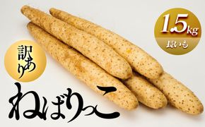 942.≪先行受注≫【訳あり】ねばりっこ1.5kg 長芋 ながいも 鳥取県産 ≪野菜≫※期間限定11月上旬から4月中旬頃に順次発送予定 313726_AN008