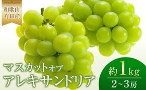 ［先行予約］和歌山 有田産 マスカットオブアレキサンドリア 約1kg 2～3房 ［2026年8月下旬より順次発送予定］  	DU04