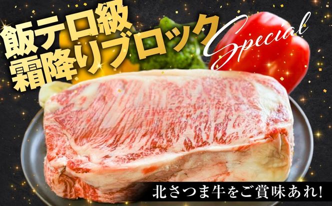 北さつま牛 サーロインブロック　K137-007