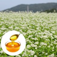 島のはちみつ 180ｇ×2本 国産 純粋はちみつ 非加熱