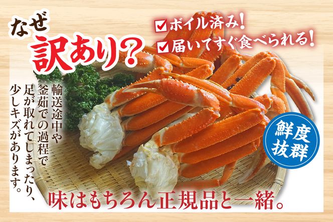 【訳あり 釜茹で 本ズワイガニ 2L 4肩 約1kg 冷蔵】ずわいがに カニ かに 蟹 チルド 蟹 カニ足 かに足 脚 肩 しゃぶしゃぶ かにすき かに鍋 ボイル ズワイガニ ずわい蟹 ズワイ蟹 カニ脚 蟹脚 ずわい ズワイ 海鮮 魚介類 ご褒美 ごちそう 兵庫県 香美町 香住 日本海フーズ 07-119