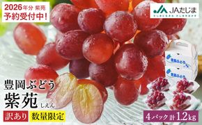 【2026年先行予約】数量限定 訳あり 豊岡ぶどう「紫苑」 約300g×4パック／ 紫苑  しえん ブドウ 葡萄 訳ありぶどう 大粒 強い甘み 爽やかな酸味 新鮮 果物 産地直送 くだもの フルーツ 上品 香り