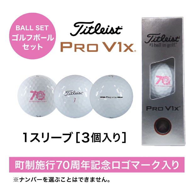 匠ミニパター「スピンコントロール」＆ ゴルフボールV1X （１スリーブ・３個入） / 練習 本番 テクニック向上 極小ヘッド ヘッド小さめ ゴルフパター 軟鉄削り出し 東邦ゴルフ ゴルフ用品 タイトリスト ボールSET 090BF02S.