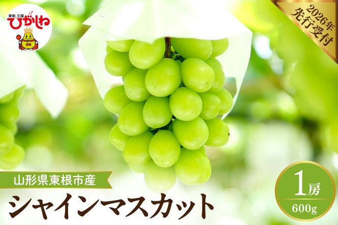 【2026年産先行予約】 シャインマスカット 約600g (1房入) 山形県 東根市 hi026-053